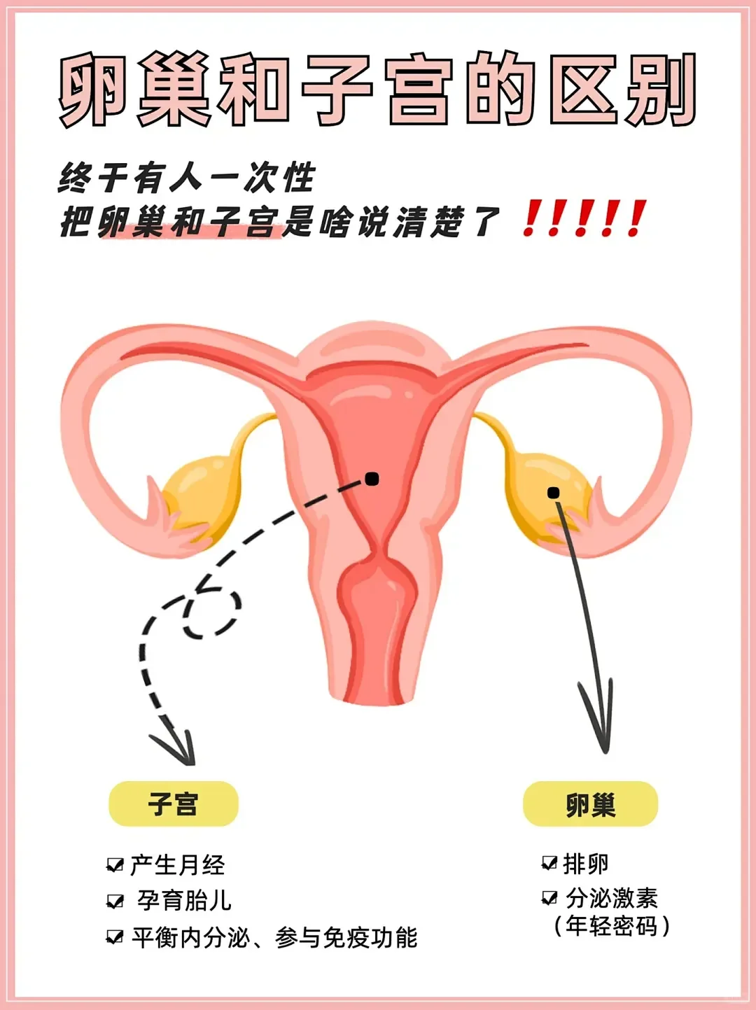 卵巢与子宫的区别，终于有人说清楚了,供卵网